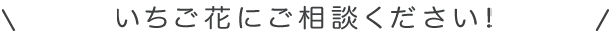 いちご花にご相談ください！